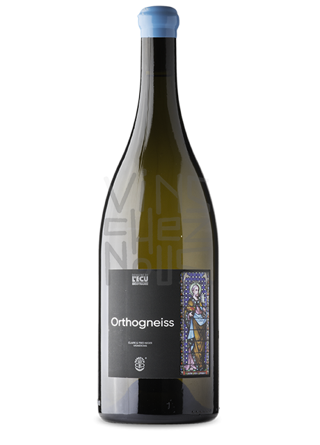 OrthoGneiss Magnum