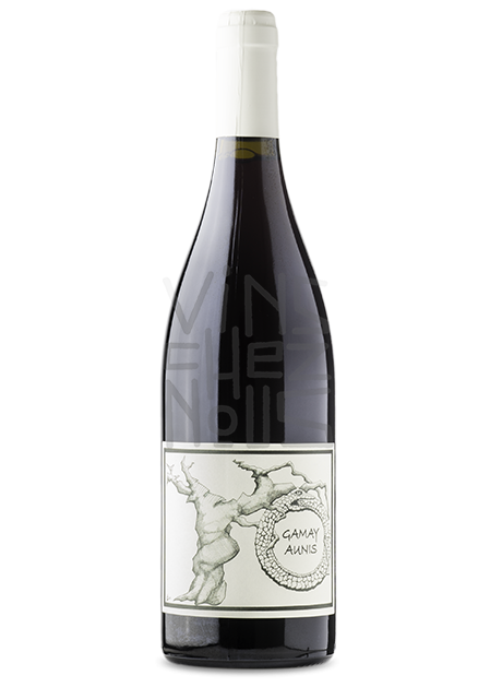 Gamay - Aunis