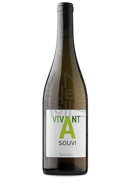 Vivant à Souvi