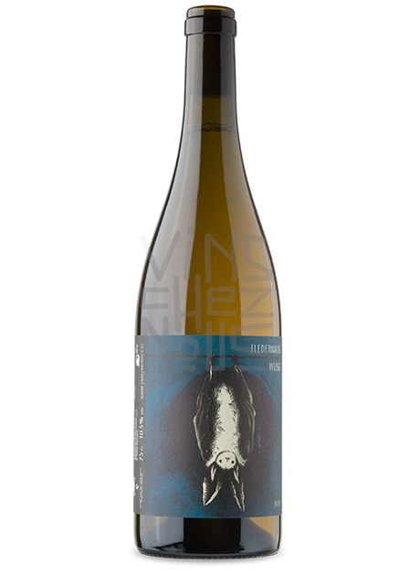 Fledermaus Weiss