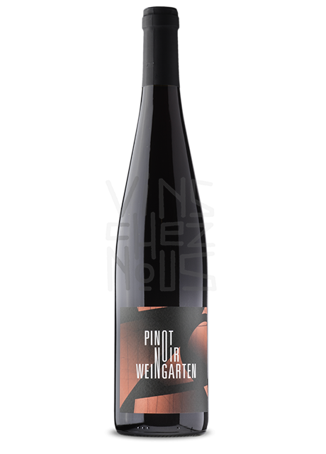 Pinot Noir Weingarten