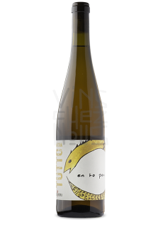 Tutto Anfora Bianco la ginestra