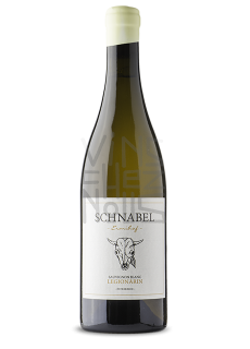 Karl Schnabel Sauvignon Legionärin