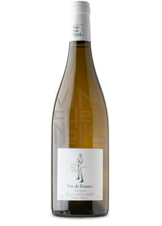 Viti vini vinci sauvignon