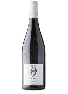 viti vini vinci Irancy Les Ronzelots