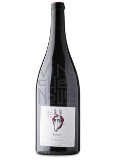 viti vini vinci Irancy Les Ronzelots Magnum