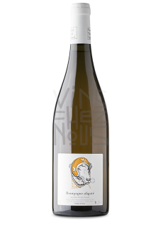 Aligoté Maceration Vini Viti Vinci