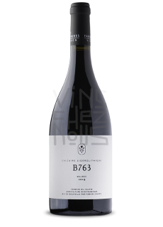 B763 Fabien Jouves