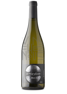 antocyame blanc de zinc