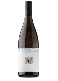 Papillon clos des grillons