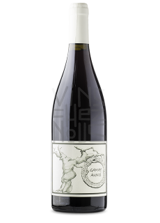 jean christophe garnier Gamay - Aunis