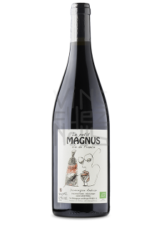 Dominique Andiran petit Magnus