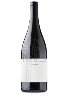 Freres soulier Triptyque Magnum