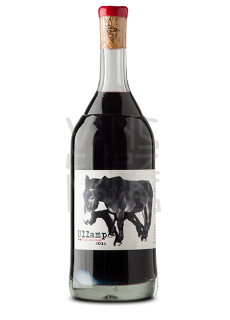 Vinyer de la Ruca Ullamp