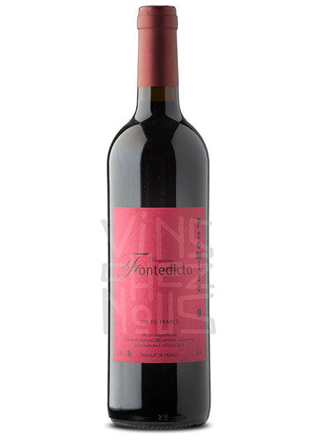 Domaine Fontedicto Promise