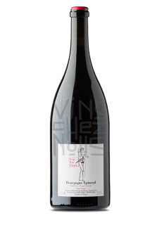 Viti Vini Vinci Epineuil Vals Noirs Magnum