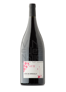 Côte de Brouilly magnum alex foillard