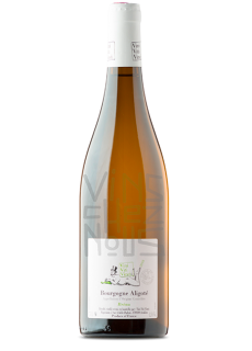 Viti vini vinci aligoté bréau