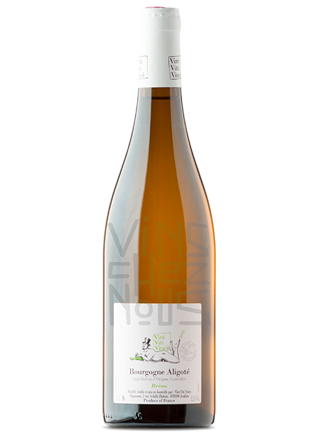 Viti vini vinci aligoté bréau
