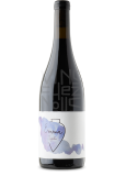 Vega Aixala Syrah