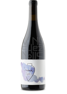 Vega Aixala Syrah