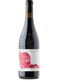 Vega Aixala Grenache Carignan