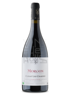 Vignes du Maynes Morgon les Charmes