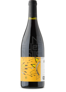 vin des potes apache