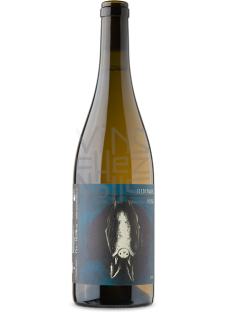 Fledermaus Weiss 2naturkinder
