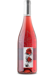 Rose Pompon maxime francois laurent