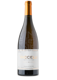 vaccelli Rosé