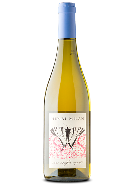 henri milan Papillon Blanc