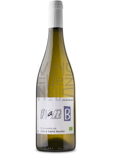 lilian bauchet plan b