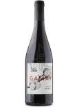 Pierre Cotton Gamay