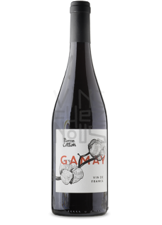 Pierre Cotton Gamay