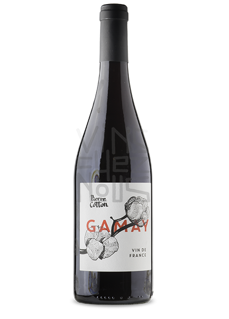 Pierre Cotton Gamay