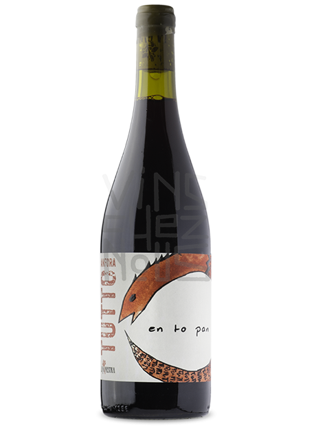 Tutto Anfora Rosso la ginestra