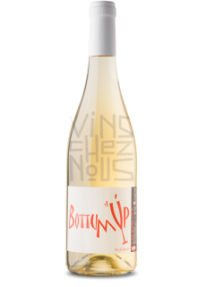 Bottum'Up Blanc stephane morin