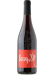 stephane morin bottum up rouge