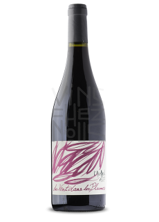 Domaine de l'Ausseil - Du Vent dans les Plumes