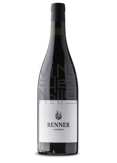 Rennersistas Pannobile
